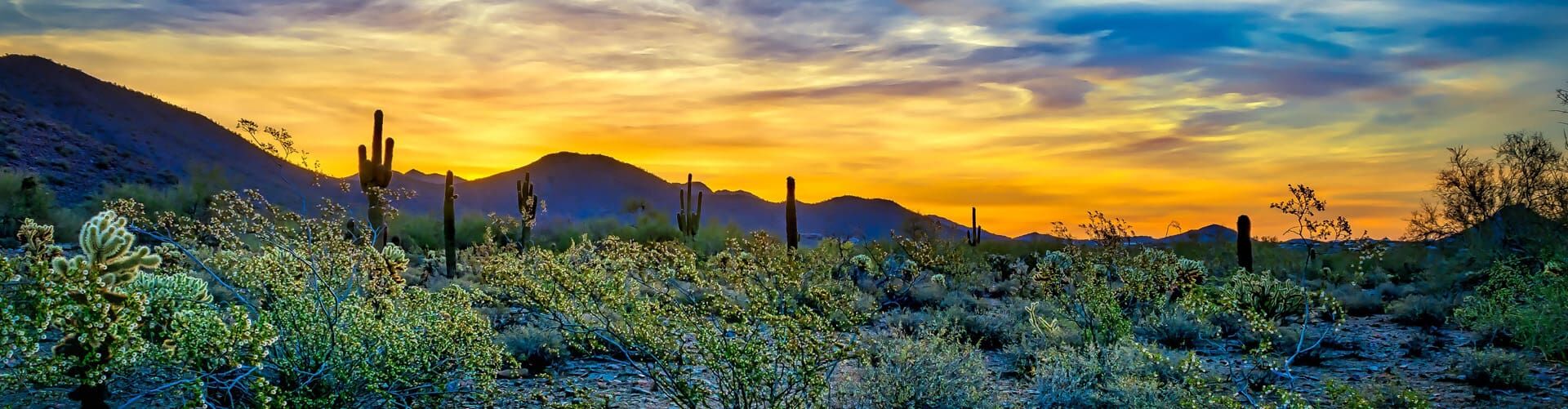 Yonder Luxury Vacation Rentals