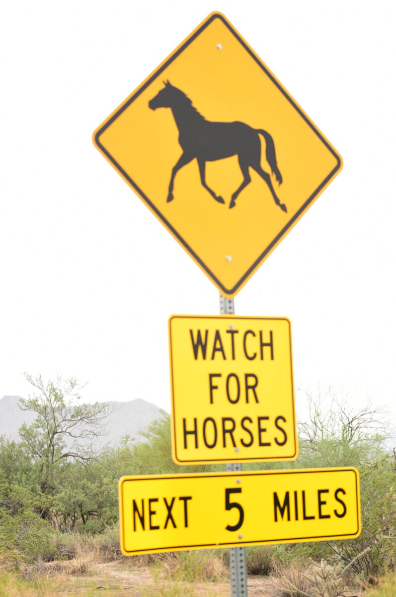 A yellow "watch for horses" sign