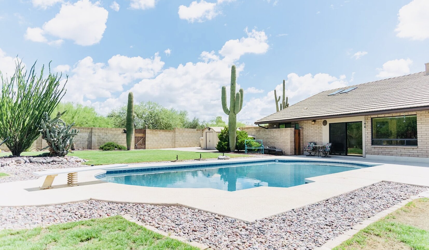 Backyard pool at a desert home in Arizona with cactus landscaping and a clear blue sky.