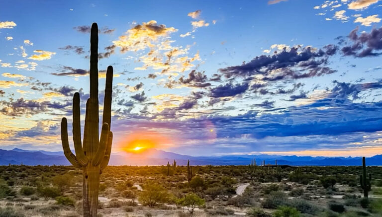 Yonder Luxury Vacation Rentals