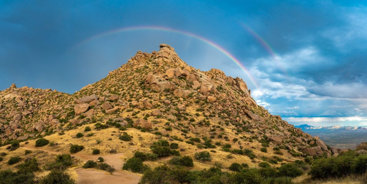 McDowell Sonoran landscape